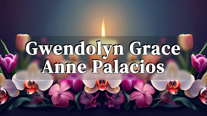 Gwendolyn Grace Anne Palacios, Lurie Children’s Hospital